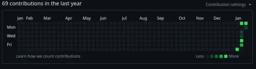 A grid of all the days in a year. All of them are black except the last week which is green